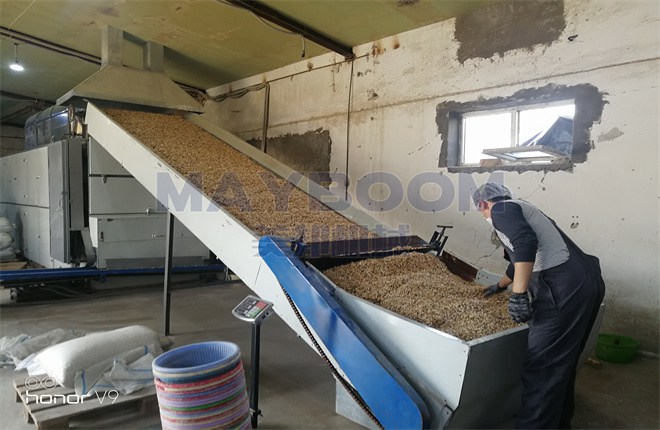 Sunflower Seed Drying Project in Uzbekistan