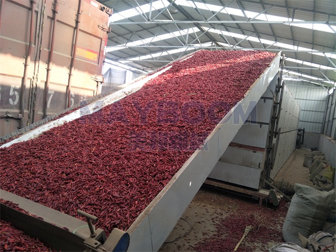 What Is the Taste of Peppers Dried in Pepper Dryer?