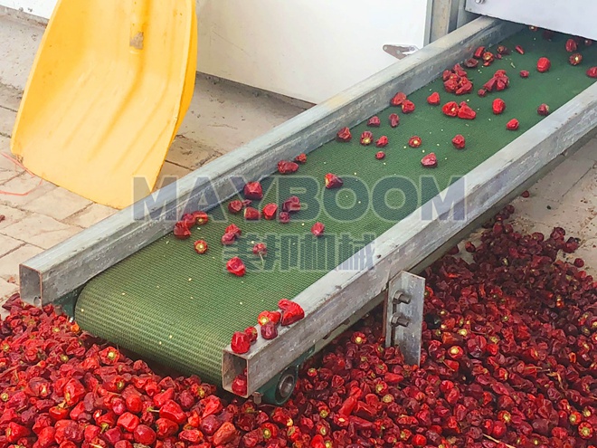 Choosing Pepper Dryer Manufacturers Needs On-site Inspection