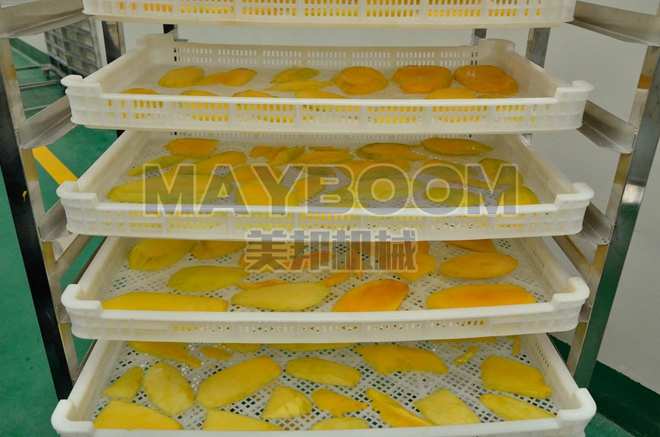Mango Drying Room Ordered by a Customer in Kazakhstan