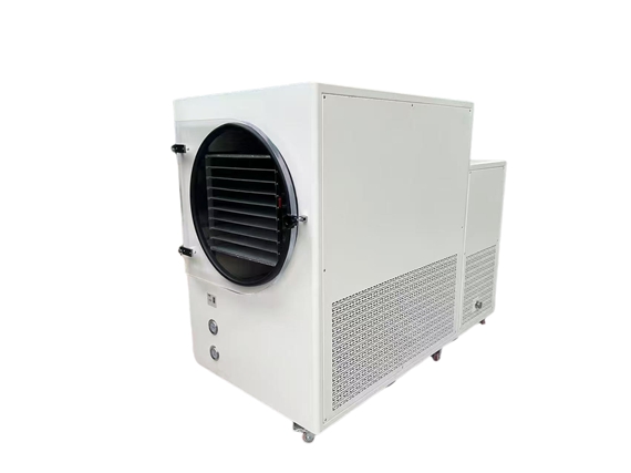 70-80kg freeze dryer 